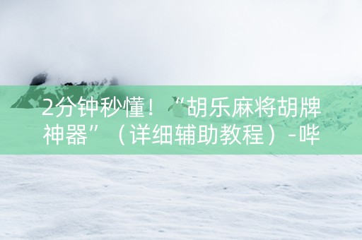 2分钟秒懂！“胡乐麻将胡牌神器”（详细辅助教程）-哔哩哔哩