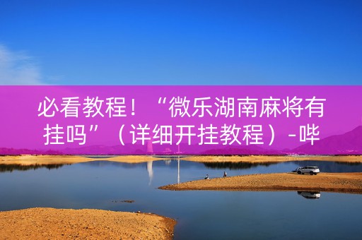 必看教程！“微乐湖南麻将有挂吗”（详细开挂教程）-哔哩哔哩
