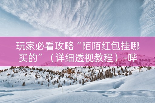 玩家必看攻略“陌陌红包挂哪买的”（详细透视教程）-哔哩哔哩