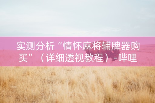实测分析“情怀麻将辅牌器购买”（详细透视教程）-哔哩哔哩