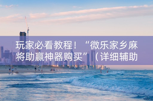 玩家必看教程！“微乐家乡麻将助赢神器购买”（详细辅助教程）-哔哩哔哩