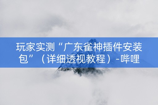 玩家实测“广东雀神插件安装包”（详细透视教程）-哔哩哔哩