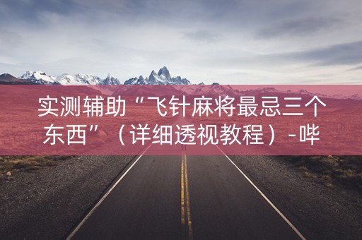 实测辅助“飞针麻将最忌三个东西”（详细透视教程）-哔哩哔哩