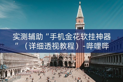 实测辅助“手机金花软挂神器”（详细透视教程）-哔哩哔哩