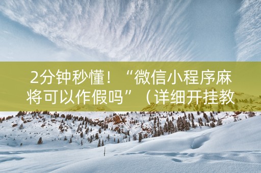 2分钟秒懂！“微信小程序麻将可以作假吗”（详细开挂教程）-哔哩哔哩