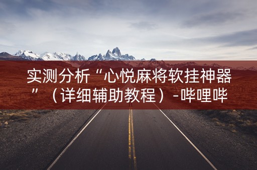 实测分析“心悦麻将软挂神器”（详细辅助教程）-哔哩哔哩