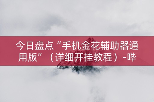 今日盘点“手机金花辅助器通用版”（详细开挂教程）-哔哩哔哩