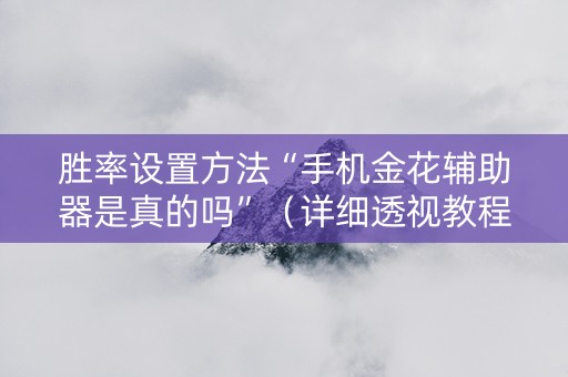 胜率设置方法“手机金花辅助器是真的吗”（详细透视教程）-哔哩哔哩
