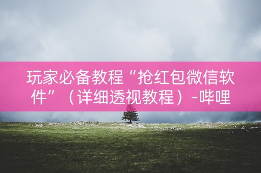 玩家必备教程“抢红包微信软件”（详细透视教程）-哔哩哔哩