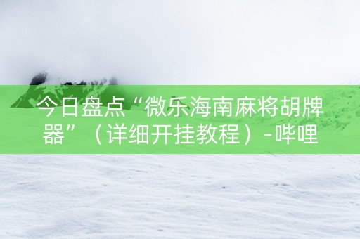 今日盘点“微乐海南麻将胡牌器”（详细开挂教程）-哔哩哔哩