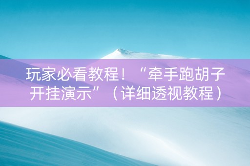 玩家必看教程！“牵手跑胡子开挂演示”（详细透视教程）-哔哩哔哩