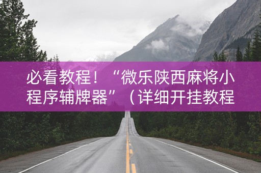 必看教程！“微乐陕西麻将小程序辅牌器”（详细开挂教程）-哔哩哔哩