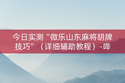 今日实测“微乐山东麻将胡牌技巧”（详细辅助教程）-哔哩哔哩