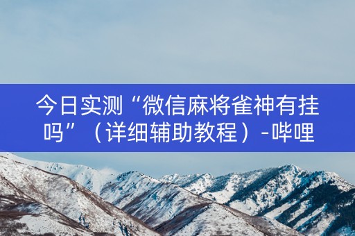 今日实测“微信麻将雀神有挂吗”（详细辅助教程）-哔哩哔哩