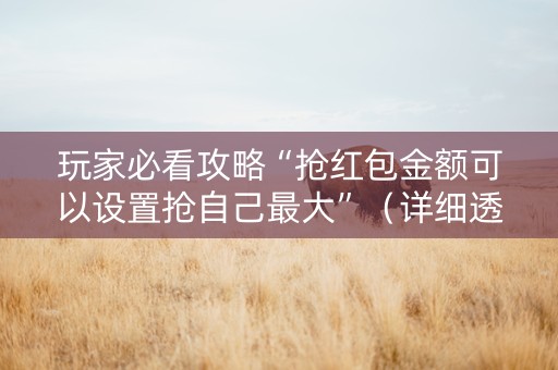 玩家必看攻略“抢红包金额可以设置抢自己最大”（详细透视教程）-哔哩哔哩