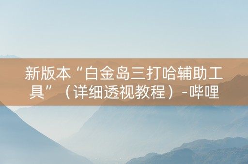 新版本“白金岛三打哈辅助工具”（详细透视教程）-哔哩哔哩