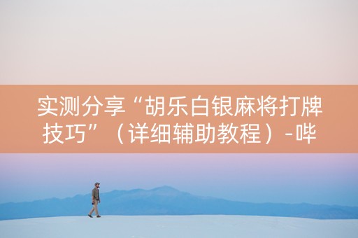 实测分享“胡乐白银麻将打牌技巧”（详细辅助教程）-哔哩哔哩