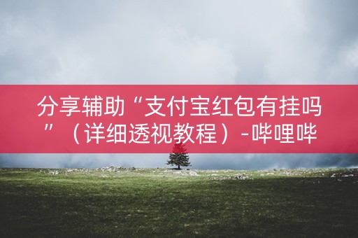 分享辅助“支付宝红包有挂吗”（详细透视教程）-哔哩哔哩