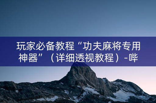 玩家必备教程“功夫麻将专用神器”（详细透视教程）-哔哩哔哩