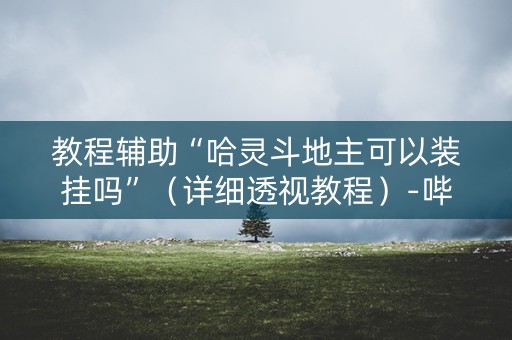 教程辅助“哈灵斗地主可以装挂吗”（详细透视教程）-哔哩哔哩