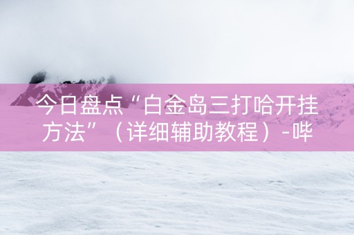 今日盘点“白金岛三打哈开挂方法”（详细辅助教程）-哔哩哔哩