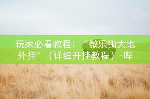 玩家必看教程！“微乐锄大地外挂”（详细开挂教程）-哔哩哔哩