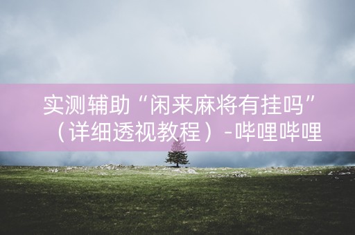 实测辅助“闲来麻将有挂吗”（详细透视教程）-哔哩哔哩