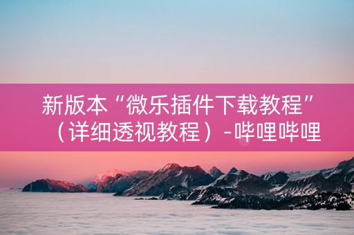 新版本“微乐插件下载教程”（详细透视教程）-哔哩哔哩