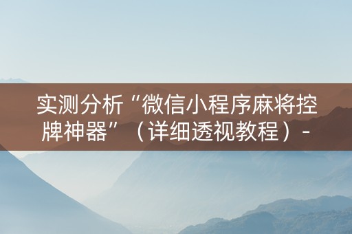 实测分析“微信小程序麻将控牌神器”（详细透视教程）-哔哩哔哩
