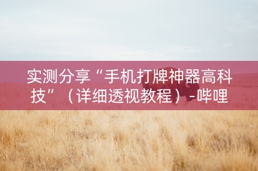 实测分享“手机打牌神器高科技”（详细透视教程）-哔哩哔哩