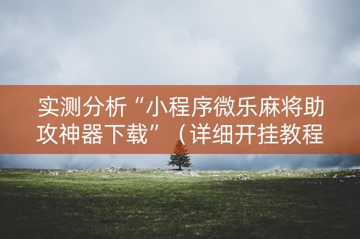 实测分析“小程序微乐麻将助攻神器下载”（详细开挂教程）-哔哩哔哩