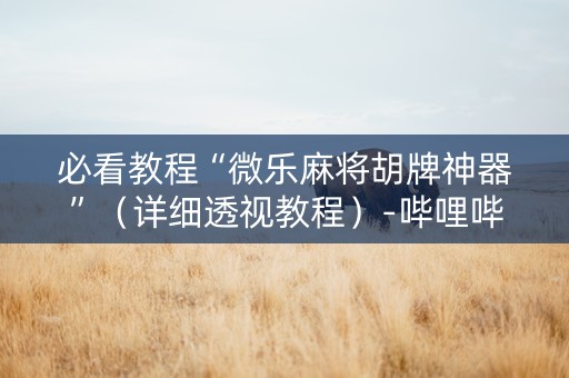 必看教程“微乐麻将胡牌神器”（详细透视教程）-哔哩哔哩