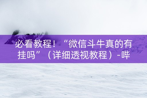 必看教程！“微信斗牛真的有挂吗”（详细透视教程）-哔哩哔哩