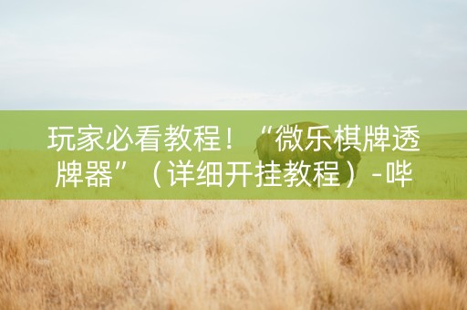 玩家必看教程！“微乐棋牌透牌器”（详细开挂教程）-哔哩哔哩