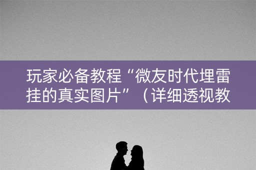 玩家必备教程“微友时代埋雷挂的真实图片”（详细透视教程）-哔哩哔哩