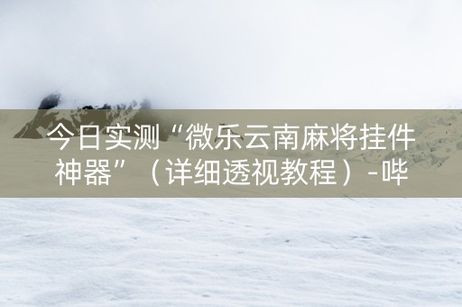 今日实测“微乐云南麻将挂件神器”（详细透视教程）-哔哩哔哩