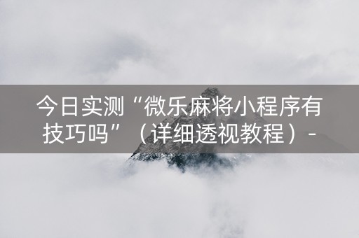 今日实测“微乐麻将小程序有技巧吗”（详细透视教程）-哔哩哔哩
