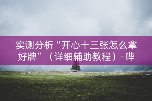 实测分析“开心十三张怎么拿好牌”（详细辅助教程）-哔哩哔哩