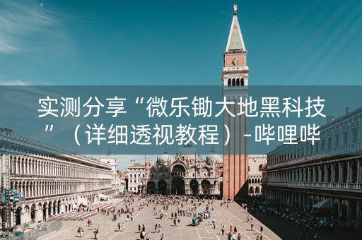 实测分享“微乐锄大地黑科技”（详细透视教程）-哔哩哔哩