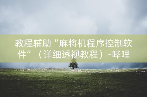 教程辅助“麻将机程序控制软件”（详细透视教程）-哔哩哔哩