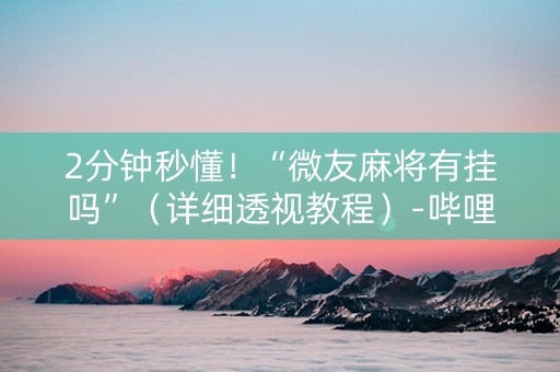 2分钟秒懂！“微友麻将有挂吗”（详细透视教程）-哔哩哔哩