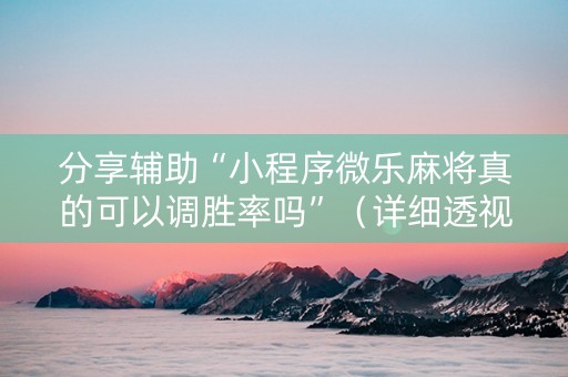 分享辅助“小程序微乐麻将真的可以调胜率吗”（详细透视教程）-哔哩哔哩