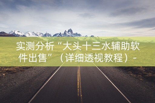 实测分析“大头十三水辅助软件出售”（详细透视教程）-哔哩哔哩