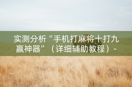实测分析“手机打麻将十打九赢神器”（详细辅助教程）-哔哩哔哩