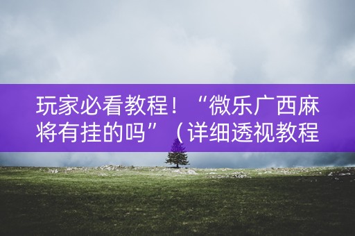 玩家必看教程！“微乐广西麻将有挂的吗”（详细透视教程）-哔哩哔哩