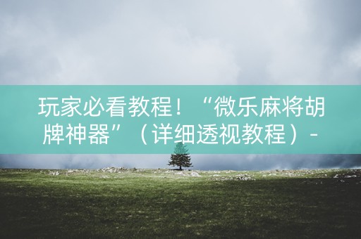 玩家必看教程！“微乐麻将胡牌神器”（详细透视教程）-哔哩哔哩