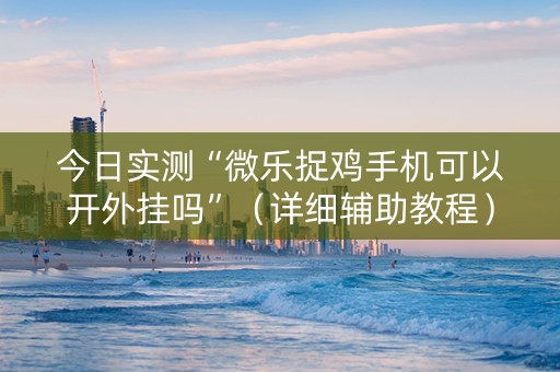 今日实测“微乐捉鸡手机可以开外挂吗”（详细辅助教程）-哔哩哔哩