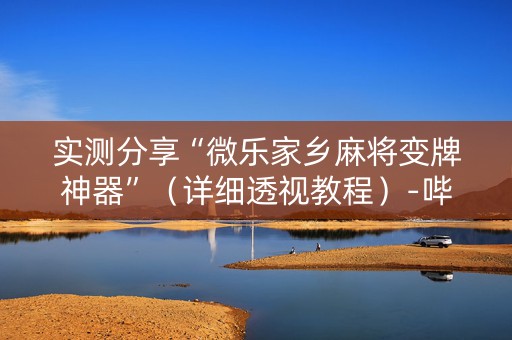 实测分享“微乐家乡麻将变牌神器”（详细透视教程）-哔哩哔哩