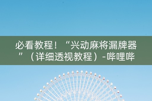 必看教程！“兴动麻将漏牌器”（详细透视教程）-哔哩哔哩