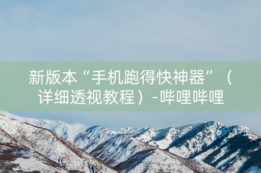 新版本“手机跑得快神器”（详细透视教程）-哔哩哔哩